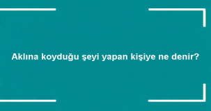 Aklına Koyduğu Şeyi Yapan Kişiye Ne Denir? Anlamı ve Kullanımı